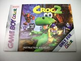 Croc 2 -- Manual Only (Game Boy Color)